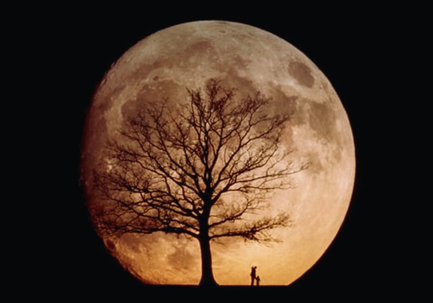 moon man.jpg
