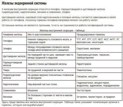 ЖВС.JPG