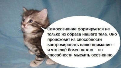 IMG.jpg