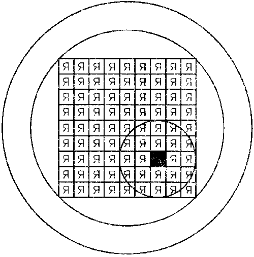 image3.gif