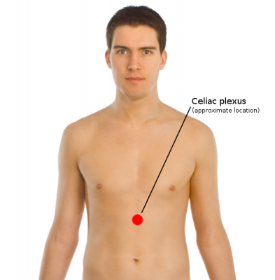 Celiac_plexus_coronal.png